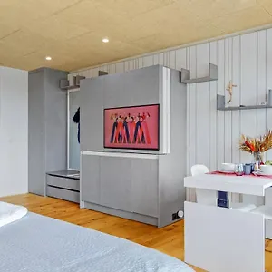 https://evis-home-hotel-apartments.hotelsbaselswitzerland.com